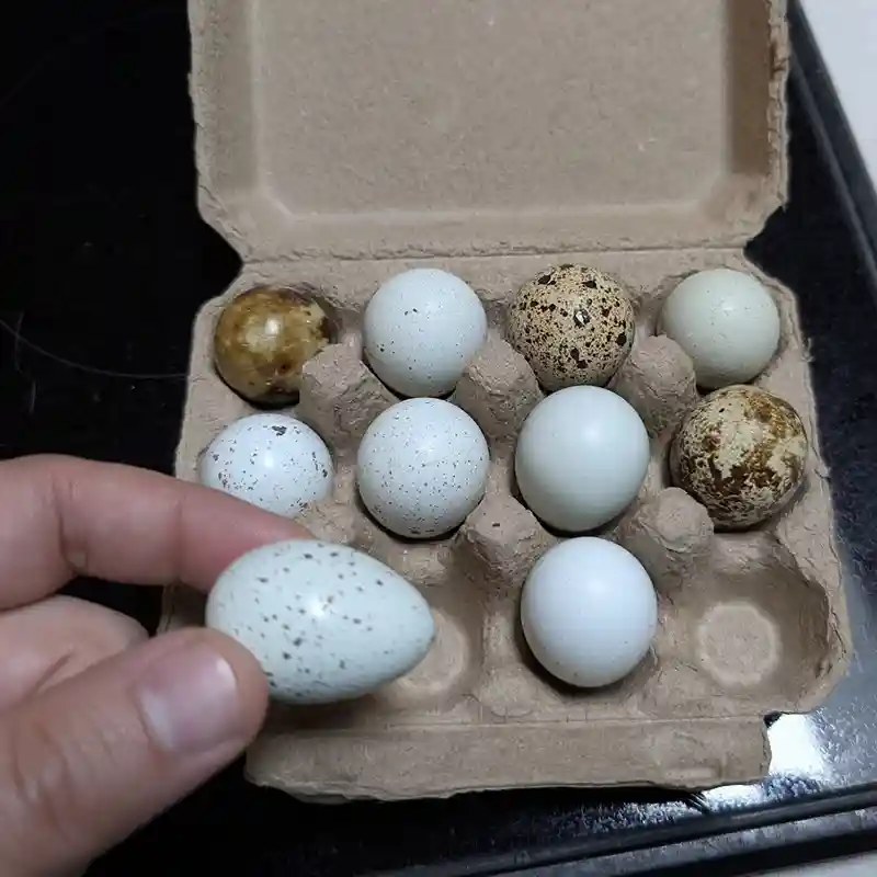 Quail Eggs